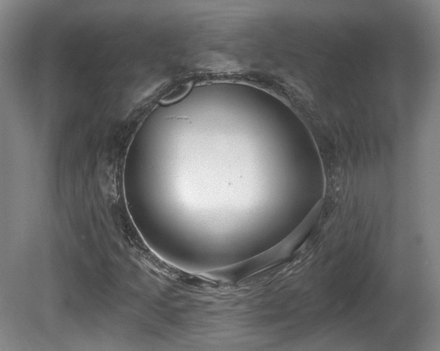 X0000081581205200701151234