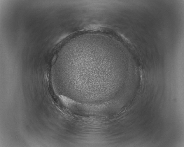 X0000081581206200701151234