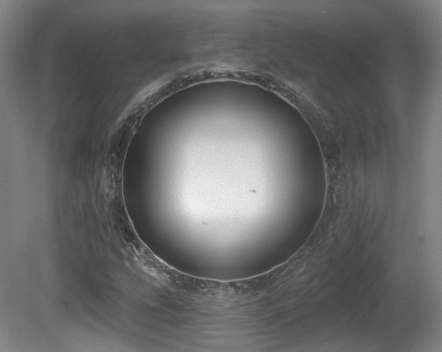 X0000081581207200701151234