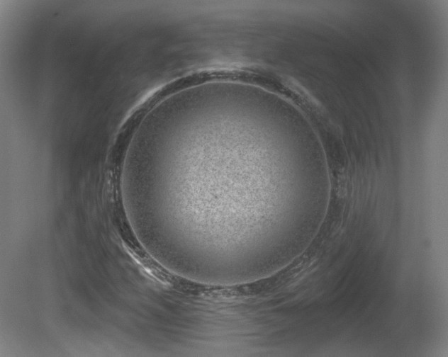 X0000081581208200701151234