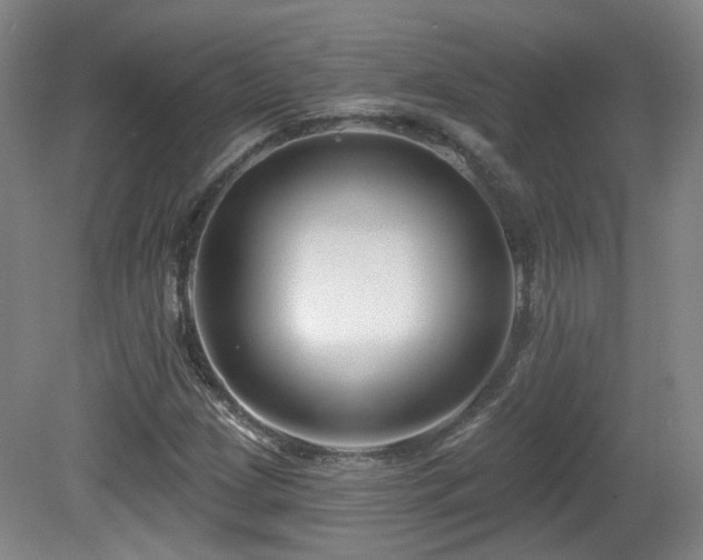 X0000081581209200701151234