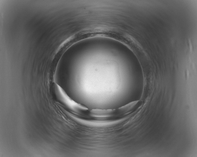 X0000081581210200701151234