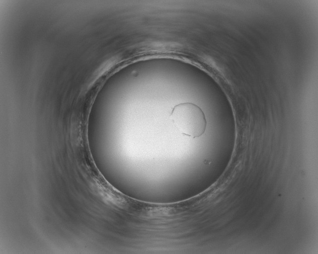 X0000081581211200701151234