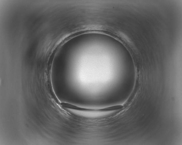 X0000081581212200701151234