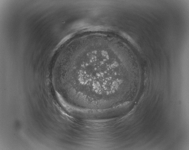 X0000081581213200701151234