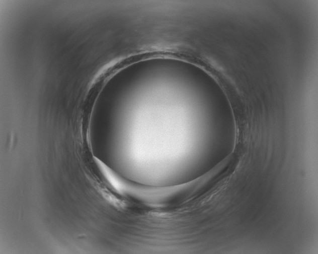 X0000081581214200701151234