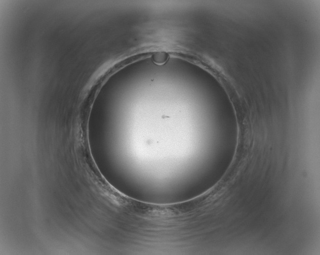 X0000081581215200701151234