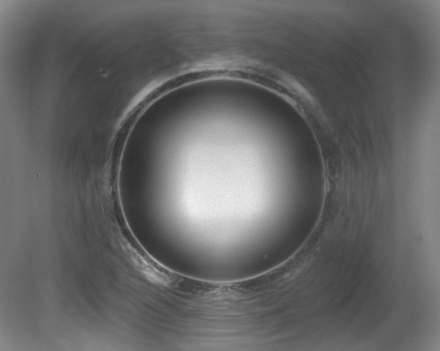 X0000081581216200701151234