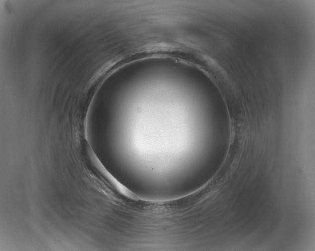 X0000081581217200701151234