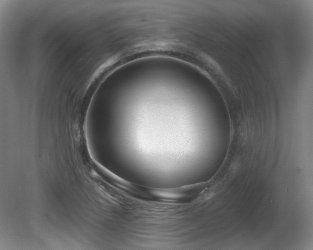 X0000081581218200701151234