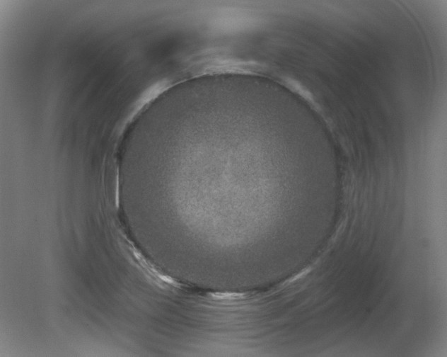 X0000081581219200701151234