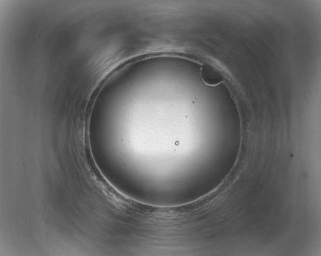 X0000081581220200701151234