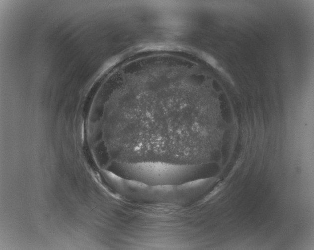 X0000081581221200701151234