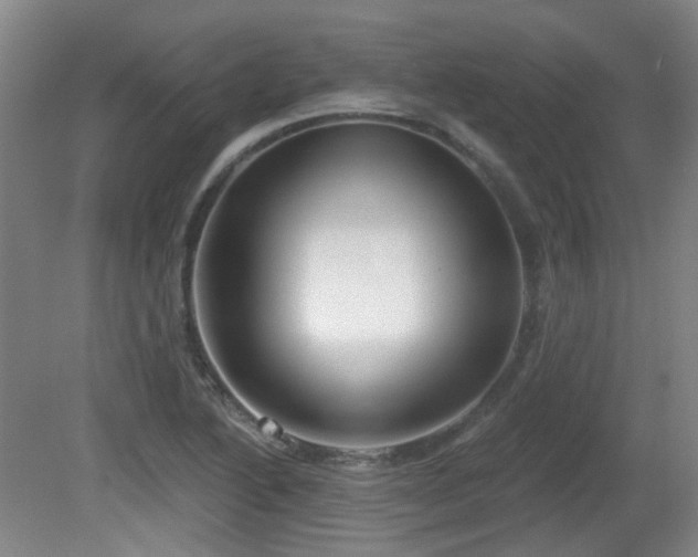 X0000081581222200701151234