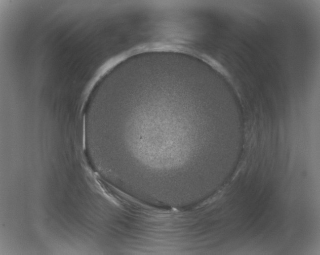 X0000081581223200701151234