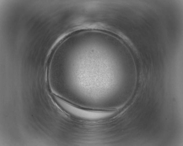 X0000081581224200701151234