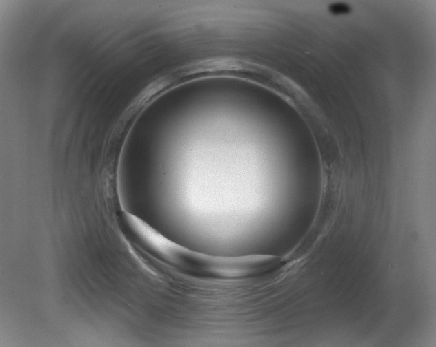 X0000081581225200701151234