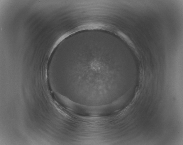 X0000081581226200701151234