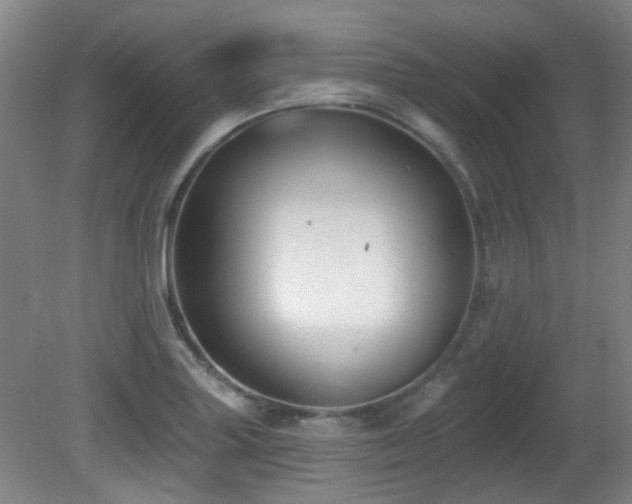 X0000081581227200701151234