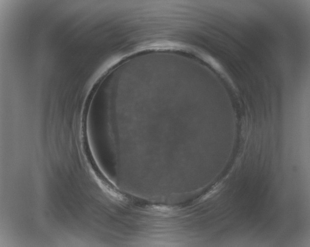 X0000081581229200701151234