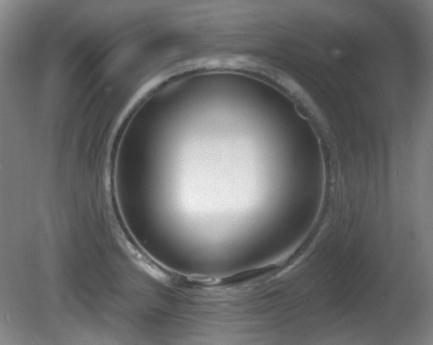 X0000081581232200701151234