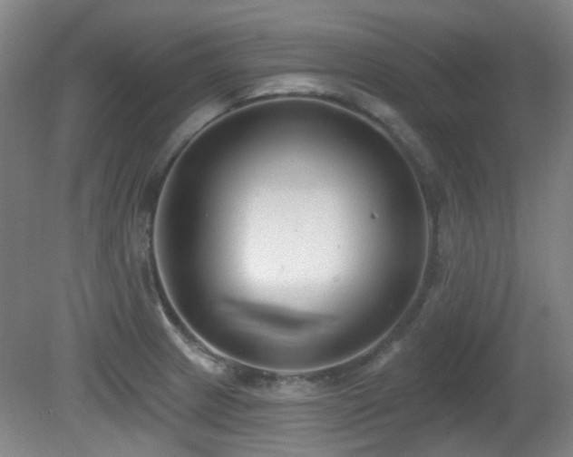 X0000081581233200701151234