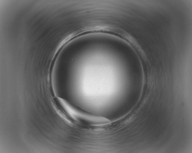 X0000081581234200701151234