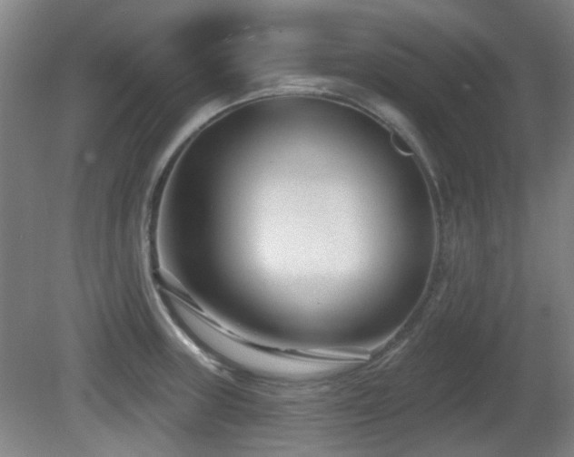 X0000081581235200701151234