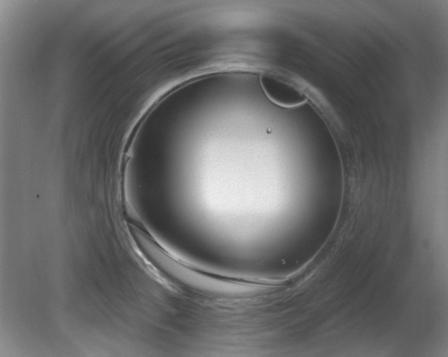 X0000081581236200701151234