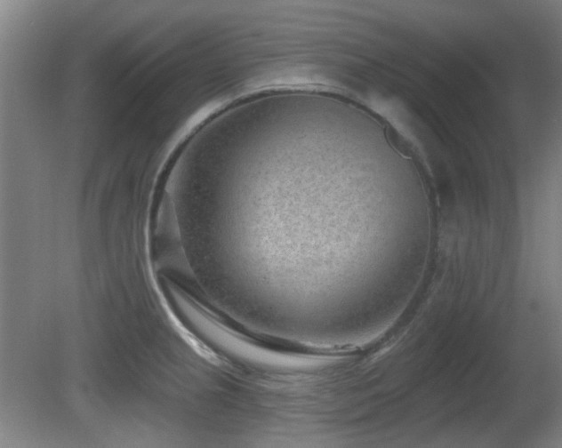 X0000081581237200701151234