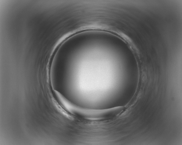 X0000081581238200701151234