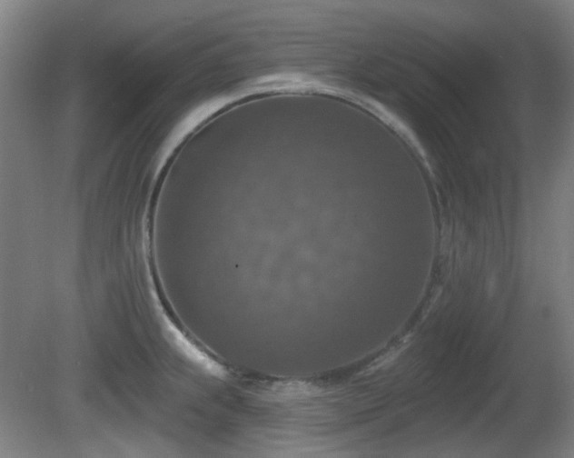 X0000081581239200701151234