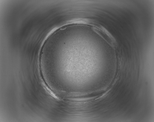 X0000081581240200701151234