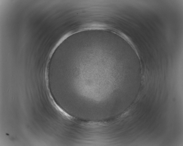 X0000081581243200701151234