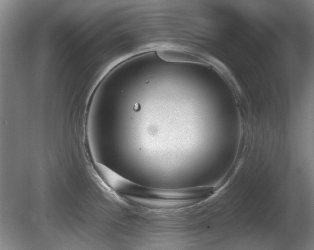 X0000081581244200701151235