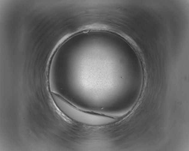 X0000081581248200701151235