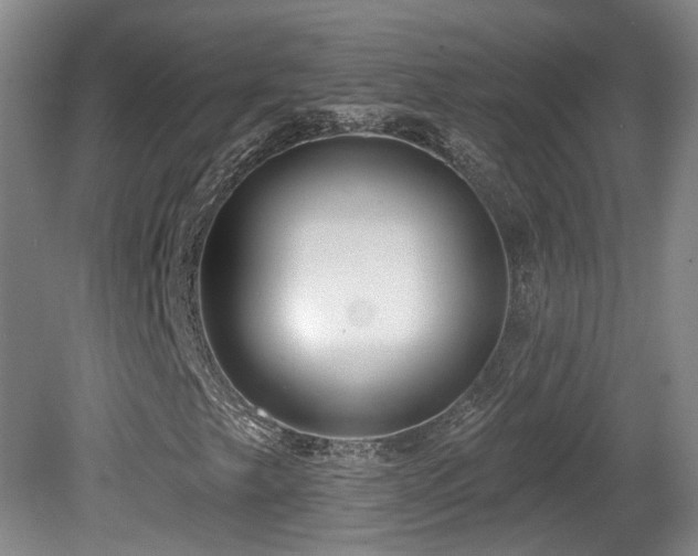 X0000081581249200701151234