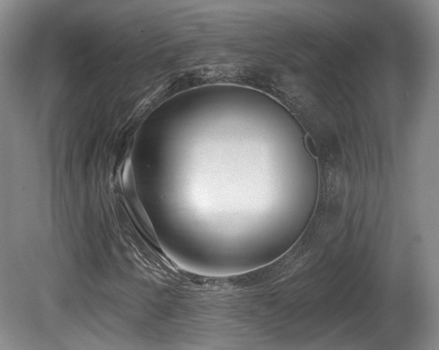 X0000081581250200701151234