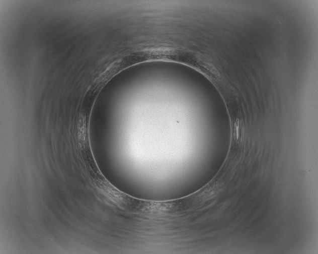 X0000081581251200701151234