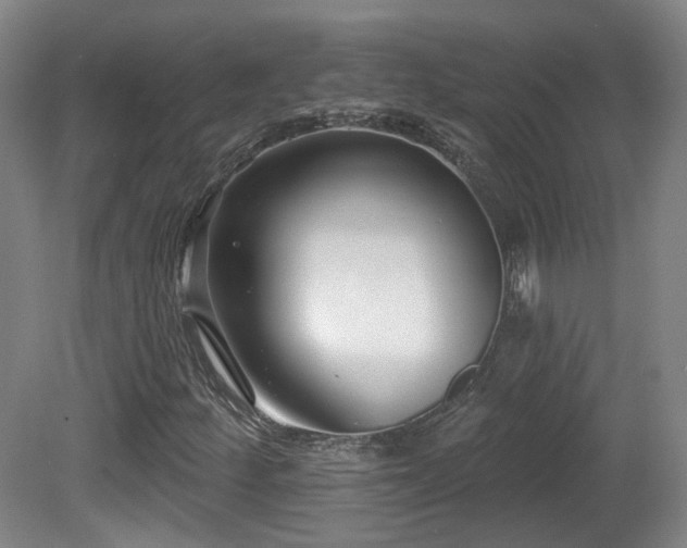 X0000081581252200701151234