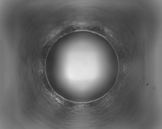 X0000081581253200701151234