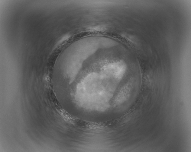 X0000081581254200701151234