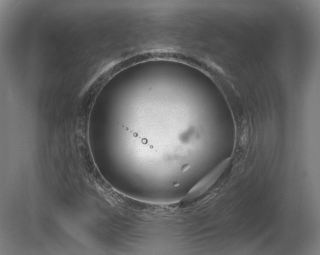 X0000081581255200701151234