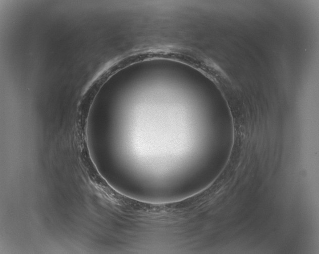 X0000081581256200701151234