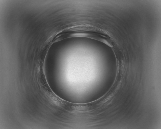 X0000081581257200701151234