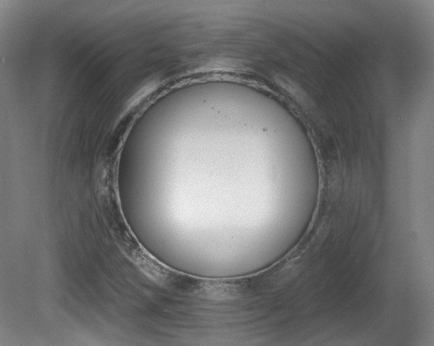 X0000081581258200701151234