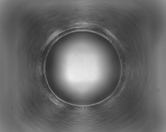 X0000081581259200701151234