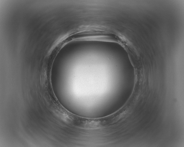 X0000081581261200701151234