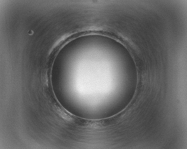 X0000081581262200701151234