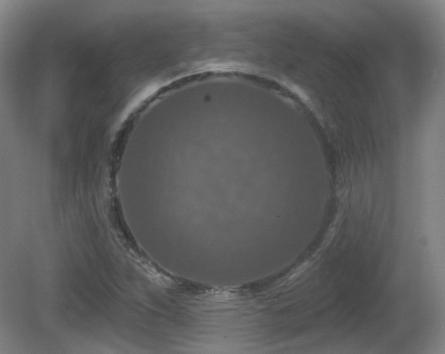 X0000081581263200701151234